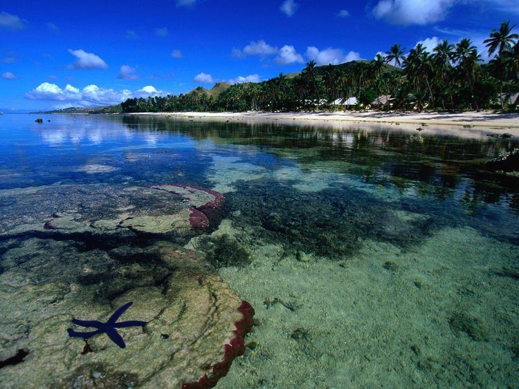 Coral Coast, Fiji Starfish along the Coral Coast Fiji 1600 x 1200 Water Exotic