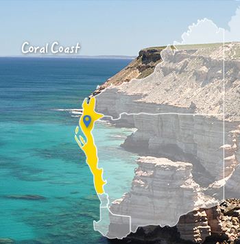 Coral Coast, Western Australia wwwwaholidayguidecomauimageselementscoralco