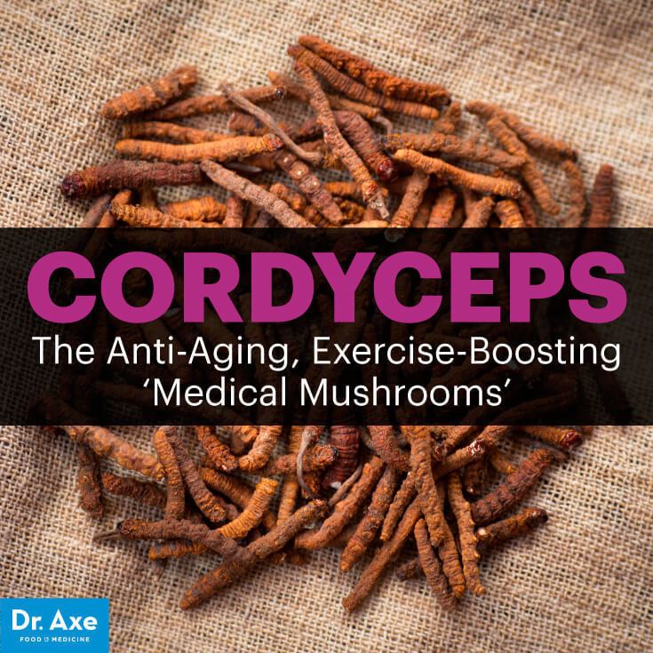 Cordyceps Cordyceps for AntiAging amp Exercise Performance Dr Axe