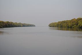 Coringa Wildlife Sanctuary httpsuploadwikimediaorgwikipediacommonsthu