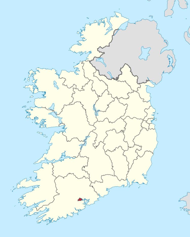 Cork City Council election, 2014