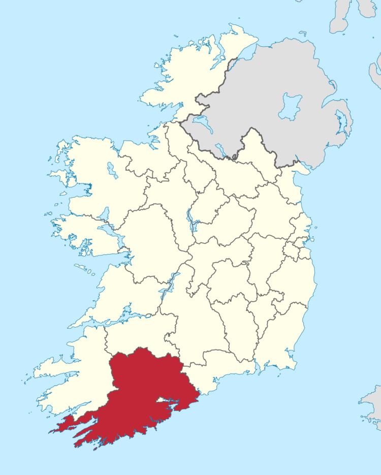 Cork County Council election, 1991