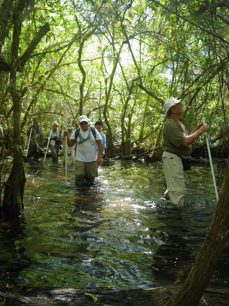 Corkscrew Swamp Sanctuary corkscrewaudubonorgsitesgfilesamh511fstyle