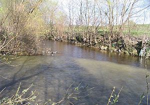 Cormoș River httpsuploadwikimediaorgwikipediacommonsthu