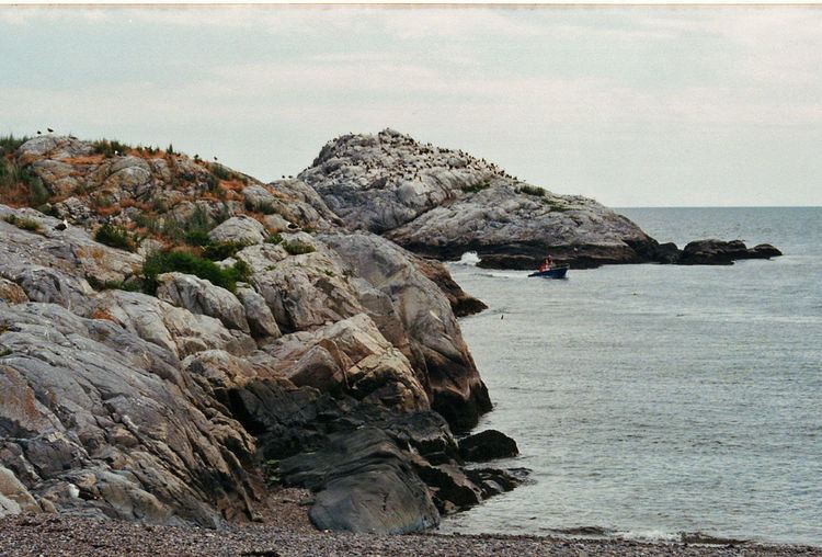 Cormorant Rock (Essex County, Massachusetts)