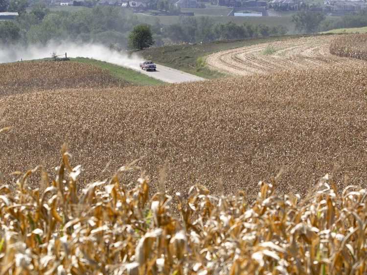 Corn Belt Localized Farmland Bubble In Corn Belt Business Insider