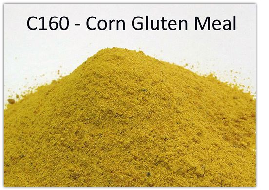 Corn gluten meal NonGenetically Modified NonGMO Corn Gluten Meal Available from