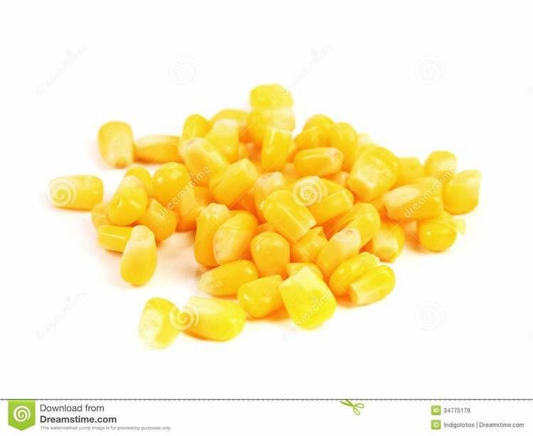 Corn kernel wwwclipartkidcomimages175somecornkernelsro