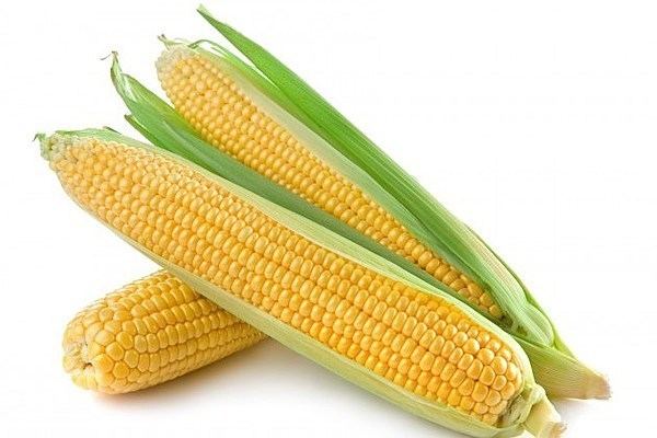 Corn on the cob Aw Shucks We39ve Been Cooking Corn on the Cob All Wrong