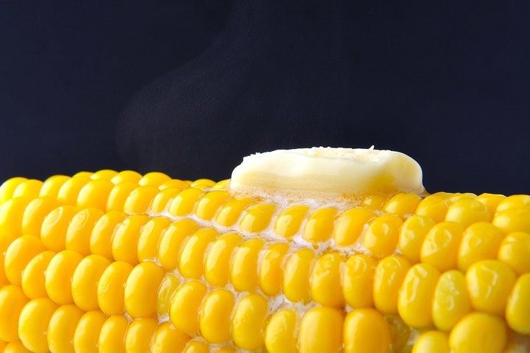 Corn on the cob Basic Method for Cooking Corn on the Cob recipe Epicuriouscom