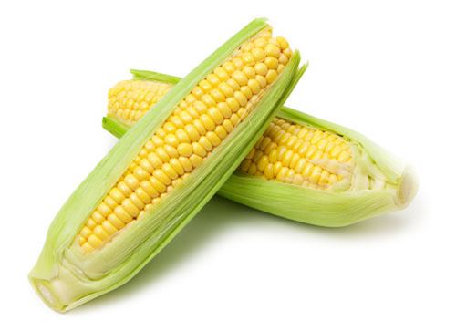 Corn on the cob How Many Carbs in Corn on the Cob New Health Advisor