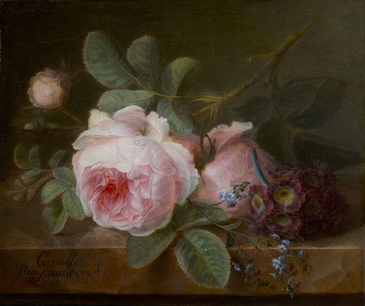 Cornelis van Spaendonck one year one painting a day Cornelis van Spaendonck and Cabbage Rose