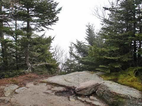 Cornell Mountain wwwcatskillmountaineercomimagesslidecornell0