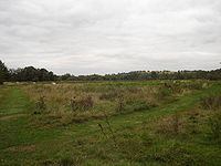 Cornmill Stream and Old River Lea httpsuploadwikimediaorgwikipediacommonsthu