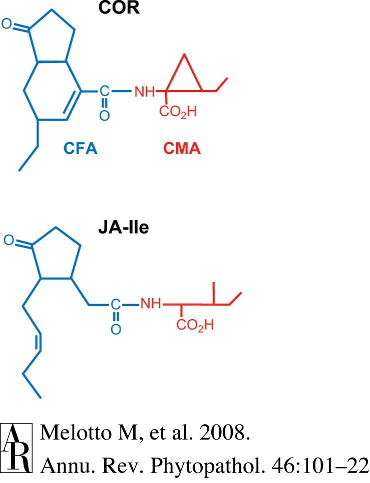 Coronatine The chemical structures of JAIle and coronatine are similar