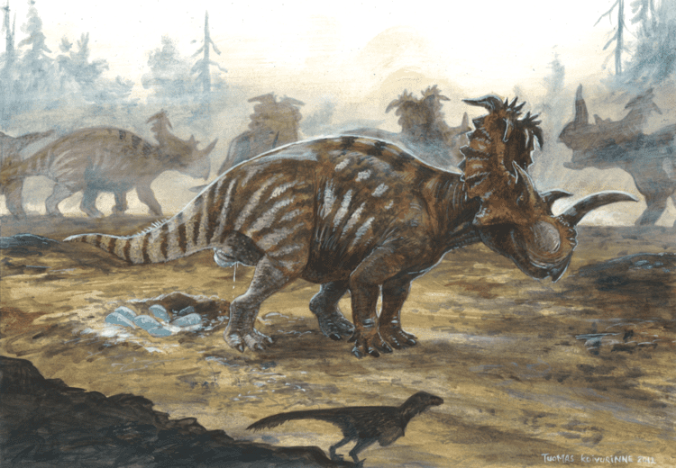 Coronosaurus coronosaurus DeviantArt