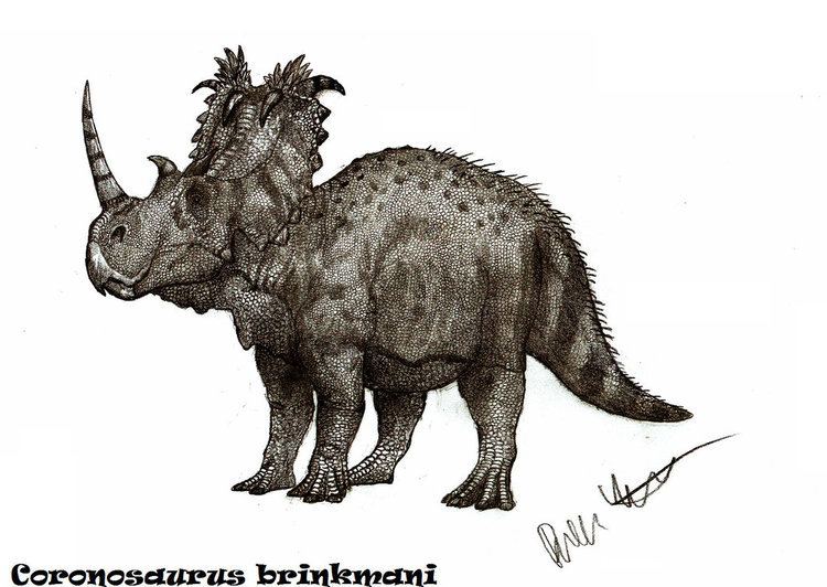Coronosaurus coronosaurusbrinkmanibyteratophoneusd5osw73jpg