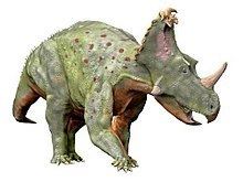Coronosaurus Coronosaurus Wikipedia