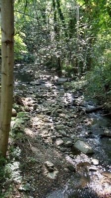 Corralitos Creek httpslocalwikiorgmediacache74877487ee4ce5
