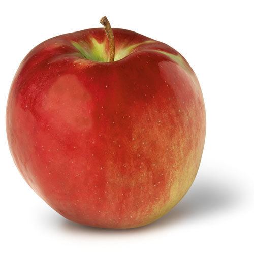 Cortland (apple) Apple Varieties of New York State Cortland NY Apple Association
