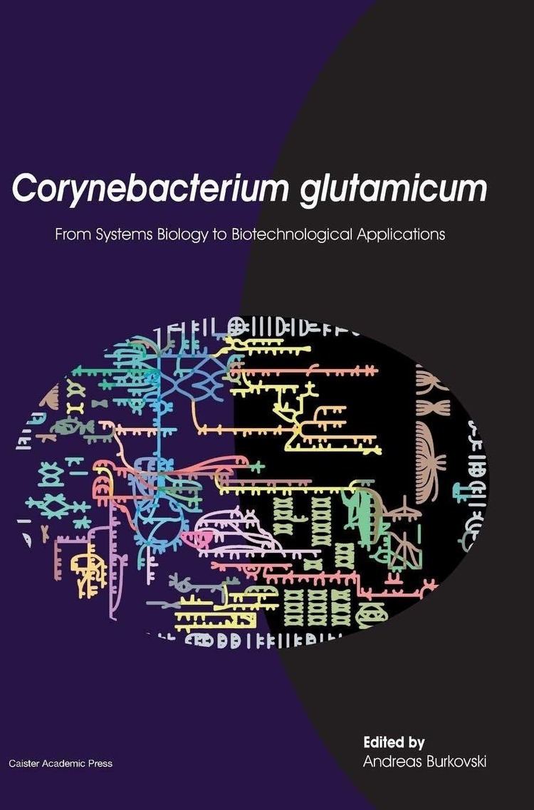 Corynebacterium glutamicum Corynebacterium glutamicum From Systems Biology to Biotechnological