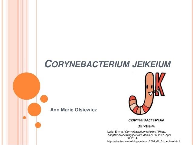 Corynebacterium jeikeium httpsimageslidesharecdncomcorynebacteriumjei