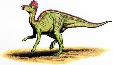 Corythosaurus Corythosaurus