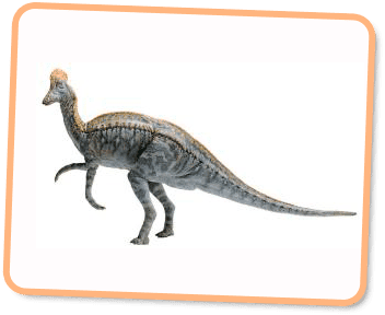 Corythosaurus Corythosaurus Kids Dinos