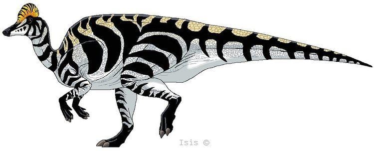 Corythosaurus Corythosaurus by IsisMasshiro on DeviantArt