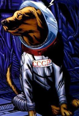 Cosmo the Spacedog httpsuploadwikimediaorgwikipediaenbbaCos