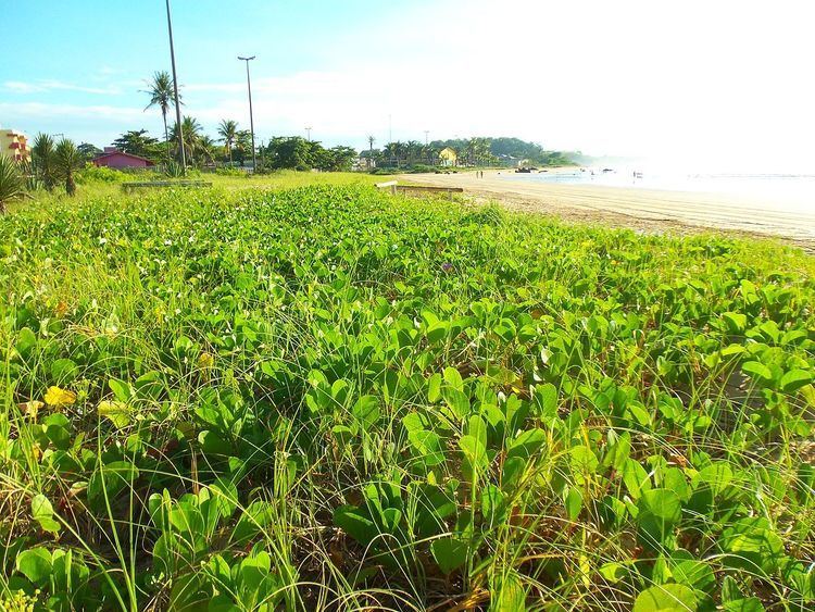 Costa das Algas Environmental Protection Area