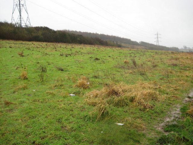 Cottage Bottom Fields