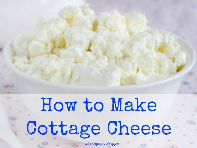 Cottage cheese How to Make Cottage Cheese The Organic Prepper