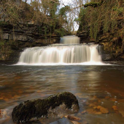 Cotter Force Nature in the Dales Cotter Force