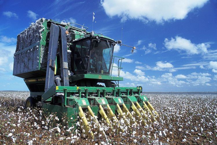 Cotton picker