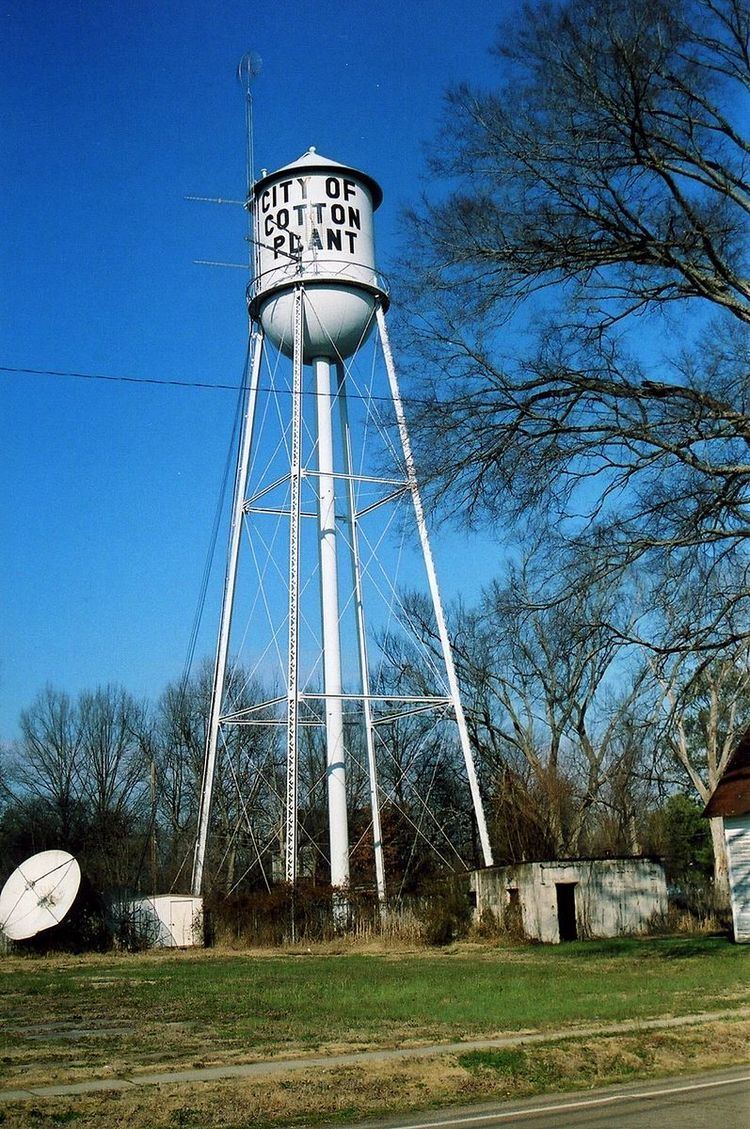 Cotton Plant water tower