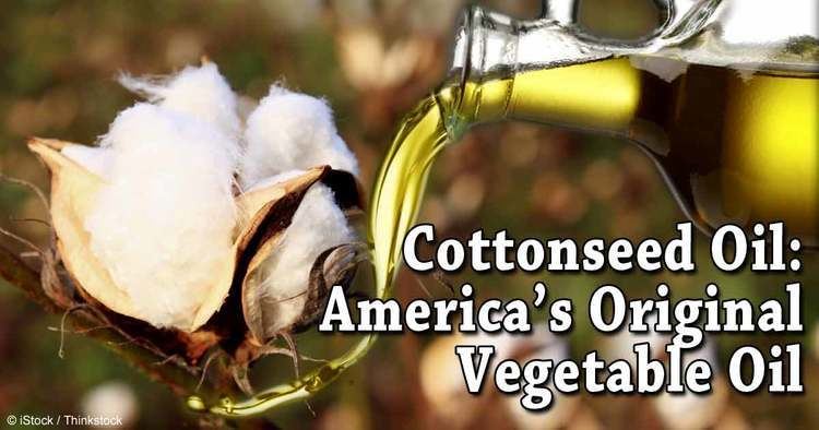 Cottonseed oil Herbal Oil Cottonseed Oil Benefits and Uses