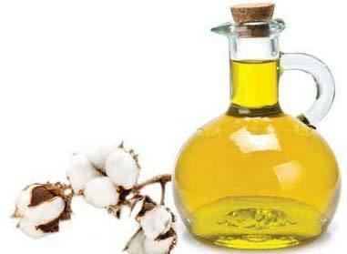 Cottonseed oil Cotton Seed OilCottonseed OilPure Cottonseed Oil Suppliers