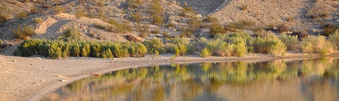 Cottonwood Cove, Nevada Lake Mohave39s Campgrounds Lake Mead National Recreation Area US