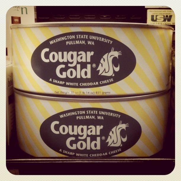 Cougar Gold cheese