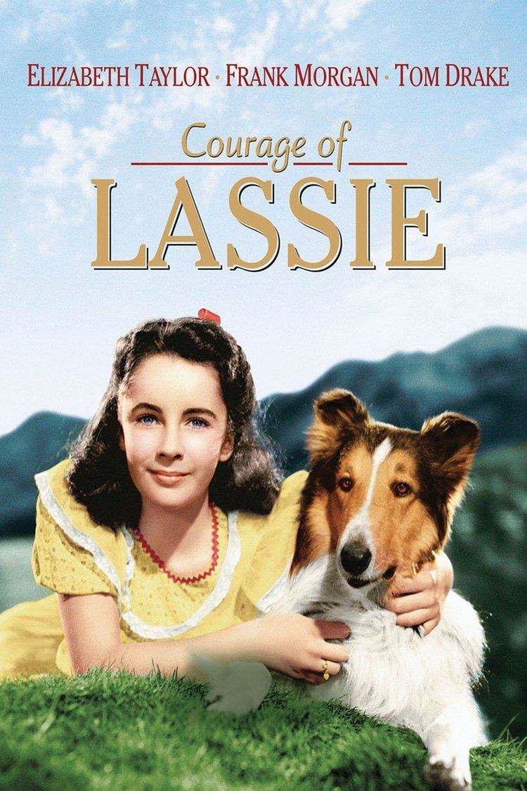 Courage of Lassie wwwgstaticcomtvthumbmovieposters4061p4061p
