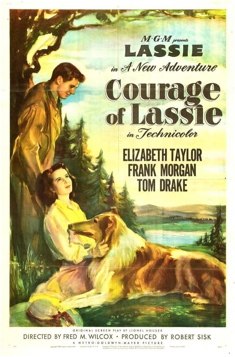 Courage of Lassie Courage of Lassie 1946 Elizabeth Taylor Official