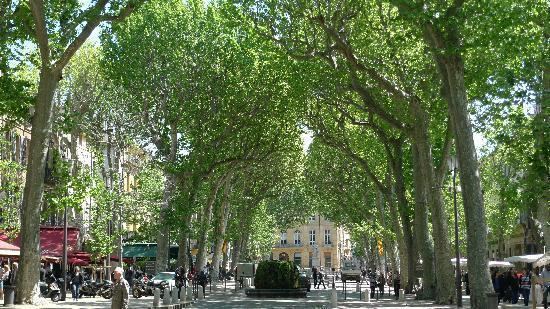 Cours Mirabeau wwwmarvellousprovencecomimagesstoriesplaces