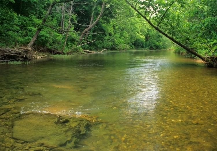 Courtois Creek wwwwesternriversorgimagesproject18courtoisc