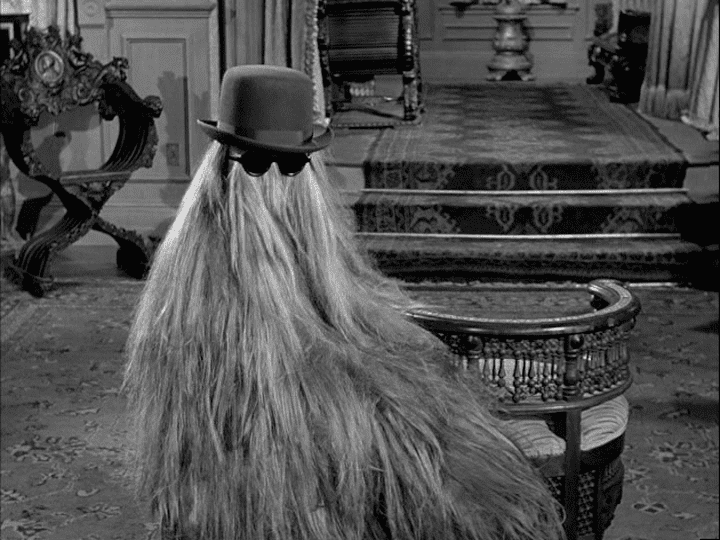 Cousin Itt sitting on the chair with floor-length blonde hair while wearing black sunglasses and a hat