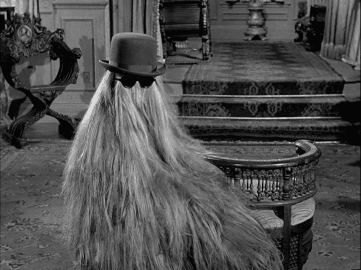 Cousin Itt ~ Everything You Need to Know with Photos | Videos