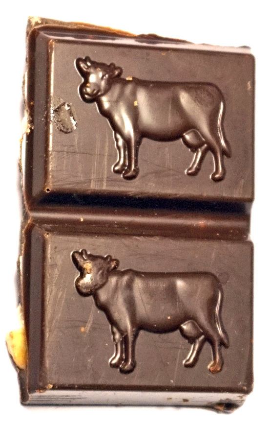 Cow Chocolate
