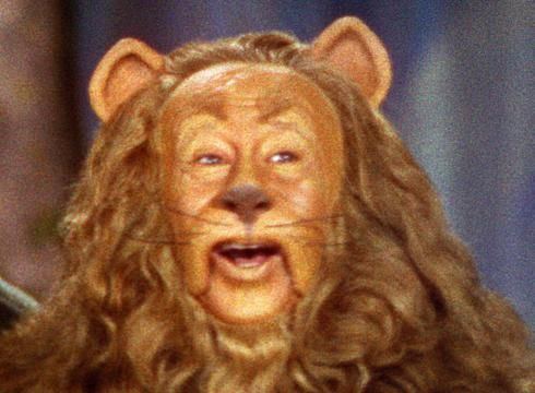 Cowardly Lion If you can39t handle volatility a Cowardly Portfolio helps Lion