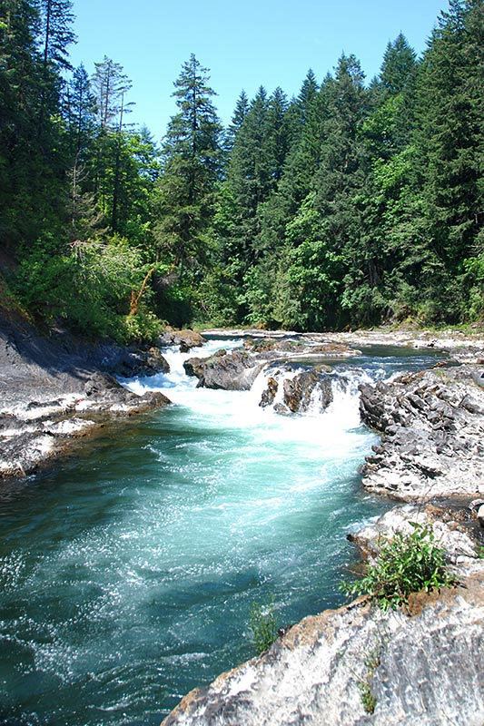 Cowichan River Cowichan River Provincial Park Vancouver Island News Events