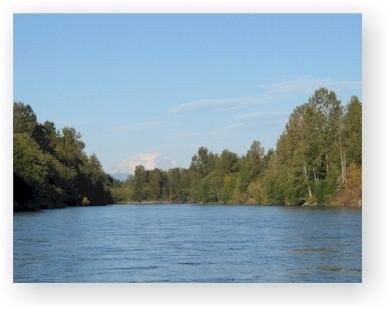 Cowlitz River wwwnorthwestflyfishermancomSiteImagescowlitz2jpg